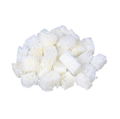 骨替代与修复材料